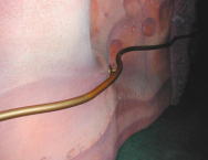 テーマパークアトラクションのてすりのアール